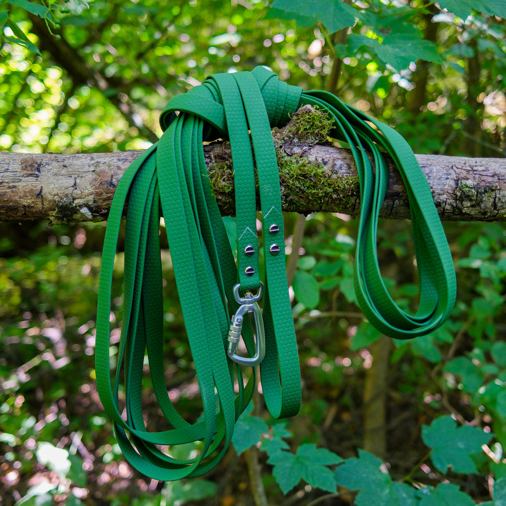 Longe pour chien en Hexa vert olive, sangle imperméable, mousqueton à verrouillage en aluminium