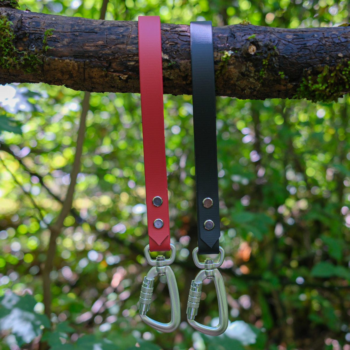 Poignées de harnais pour chien en Biothane rouge et noir suspendues à une branche, mousquetons aluminium