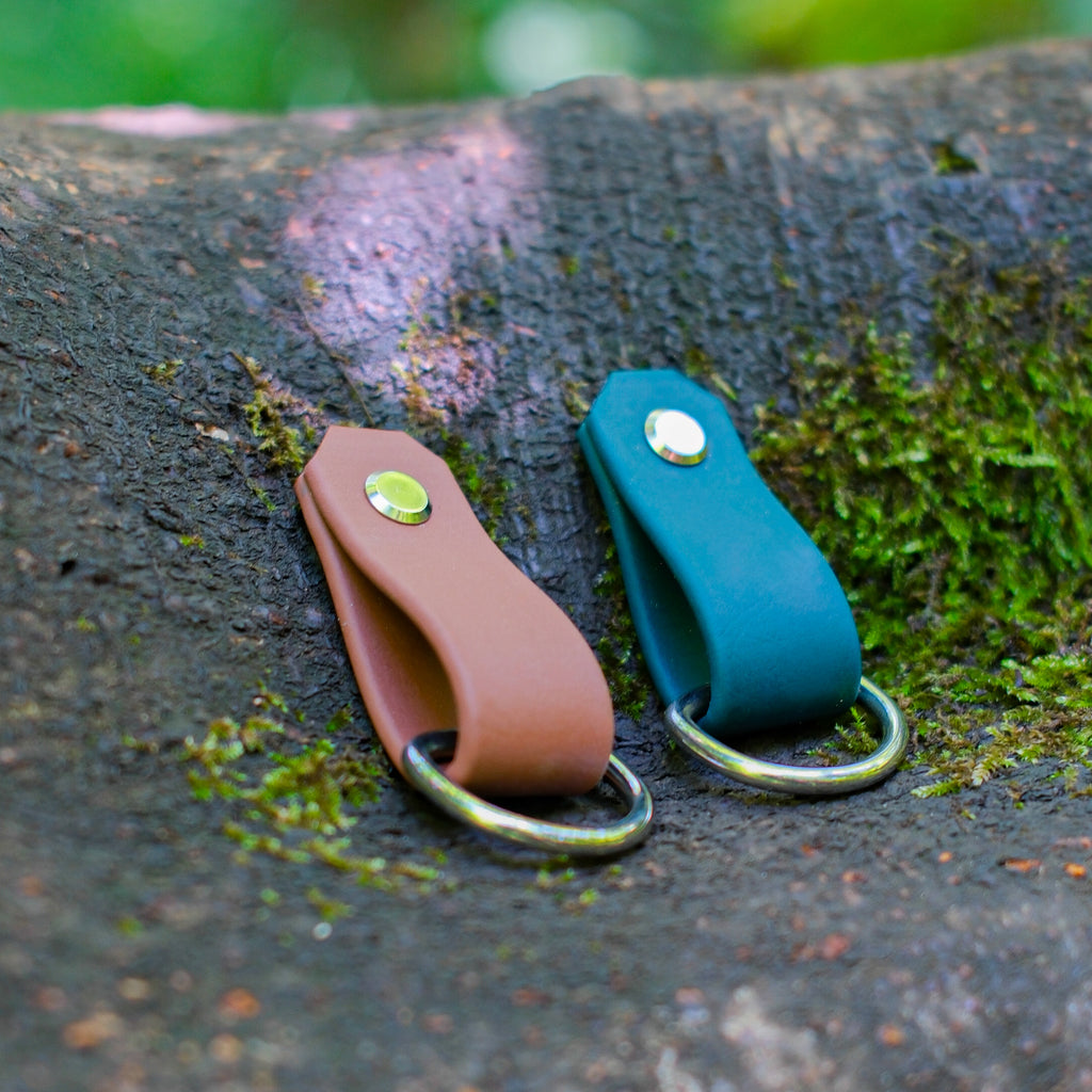 Deux porte-médailles pour chien en Biothane marron et bleu, anneaux inox, sur un tronc moussu