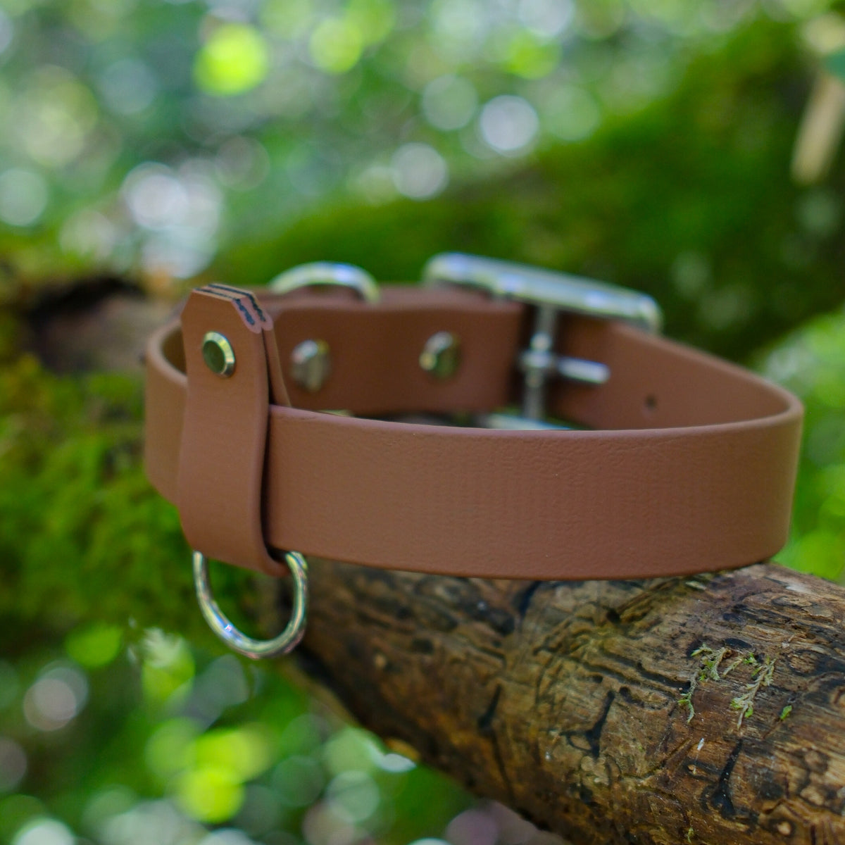 Porte-médaille en Biothane marron glissé sur un collier pour chien, anneau porte-clé en inox
