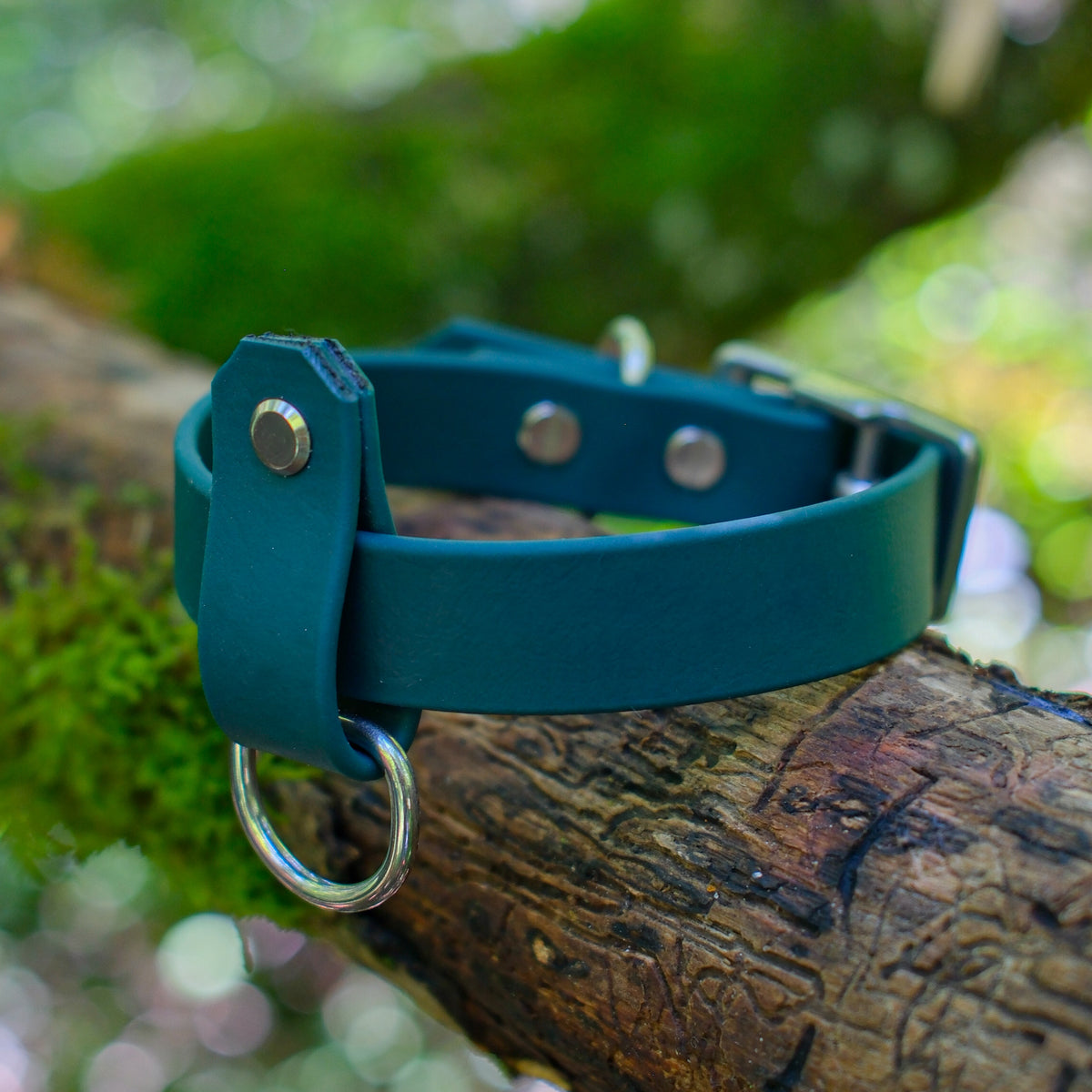 Porte-médaille en Biothane vert sapin glissé sur un collier pour chien, anneau porte-clé en inox